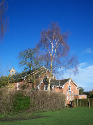 church field